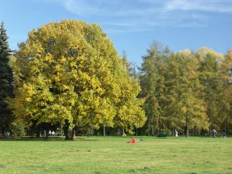 spis.php?category_id=196