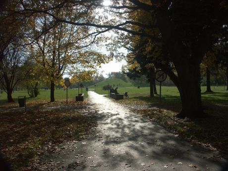 spis.php?category_id=196