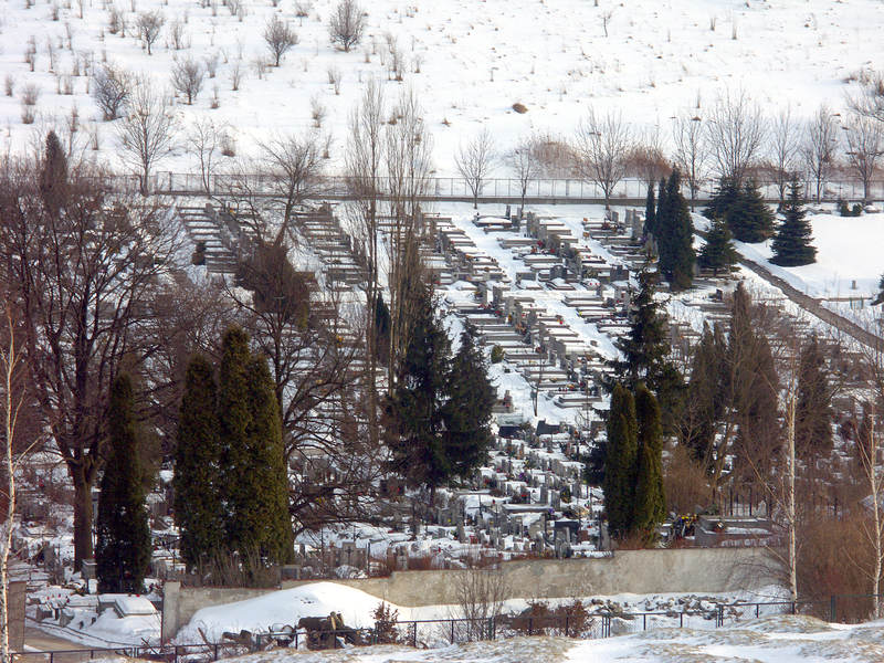 spis.php?category_id=199