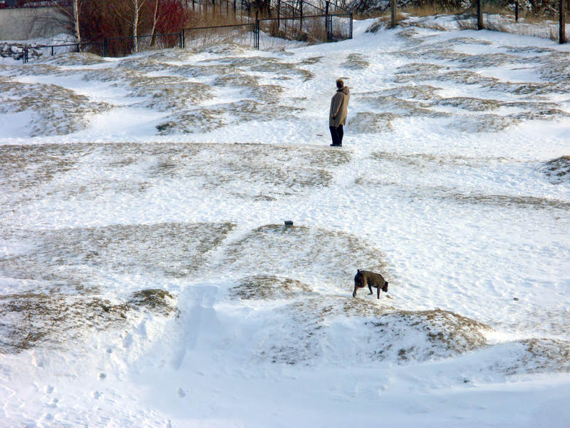 spis.php?category_id=199