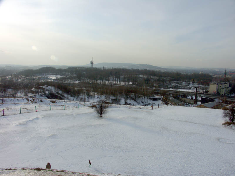 spis.php?category_id=199