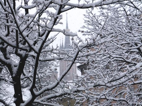 spis.php?category_id=206