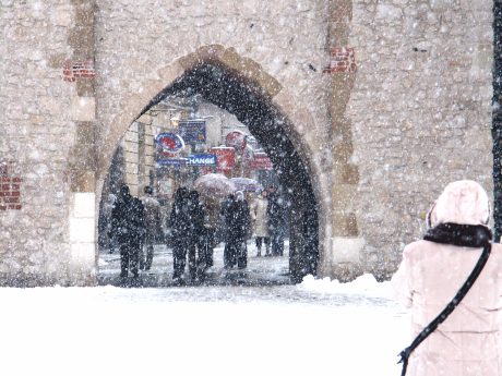 spis.php?category_id=206