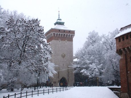 spis.php?category_id=206