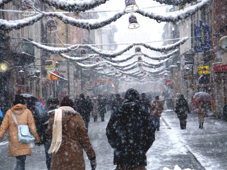 spis.php?category_id=206