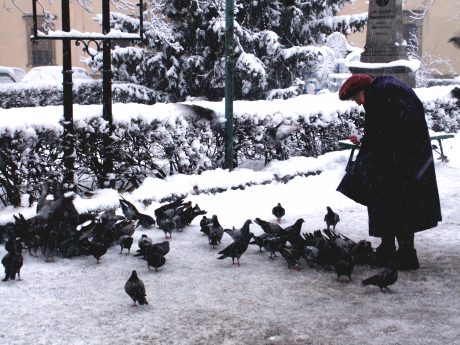 spis.php?category_id=206