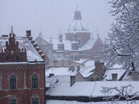 spis.php?category_id=206