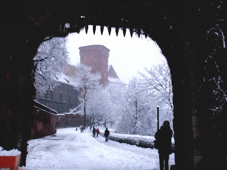 spis.php?category_id=206