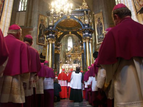 spis.php?category_id=207