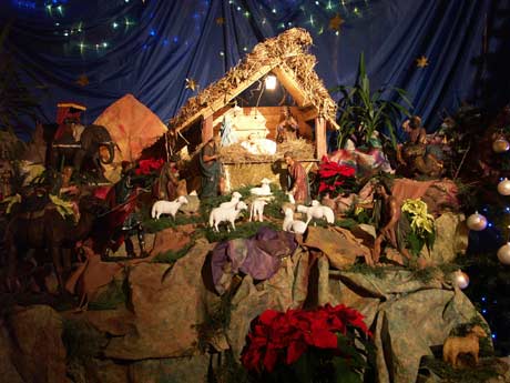 spis.php?category_id=214