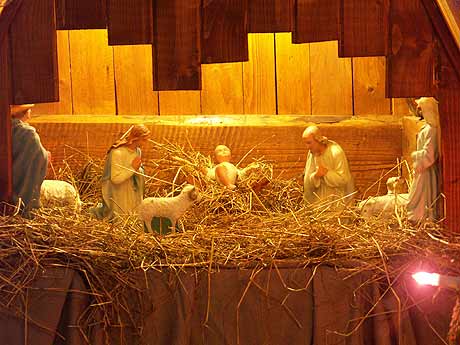 spis.php?category_id=214