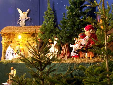 spis.php?category_id=214