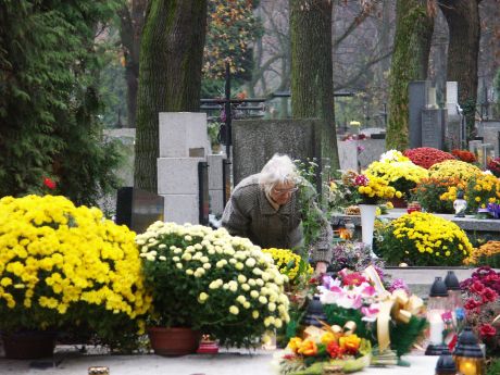 spis.php?category_id=215