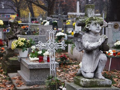 spis.php?category_id=215