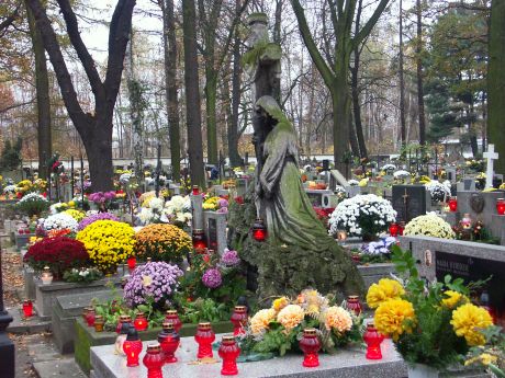 spis.php?category_id=215