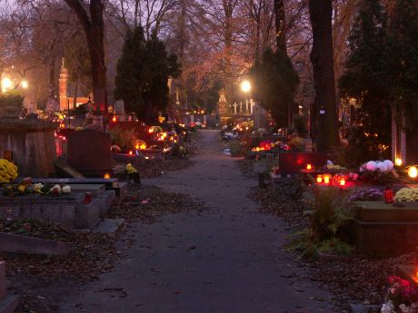 spis.php?category_id=215