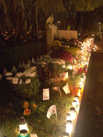 spis.php?category_id=215