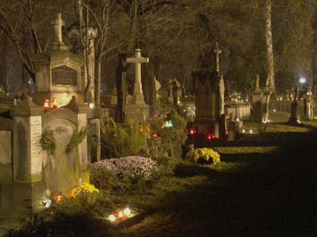 spis.php?category_id=215