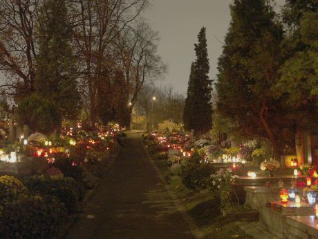 spis.php?category_id=215