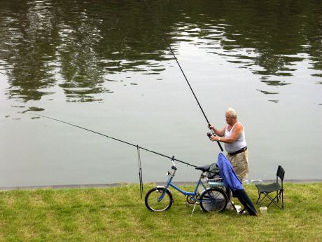 spis.php?category_id=217