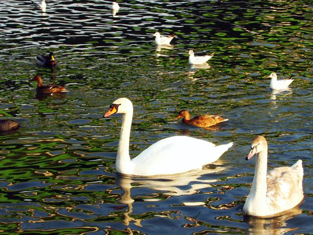 spis.php?category_id=219