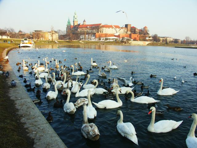 spis.php?category_id=219