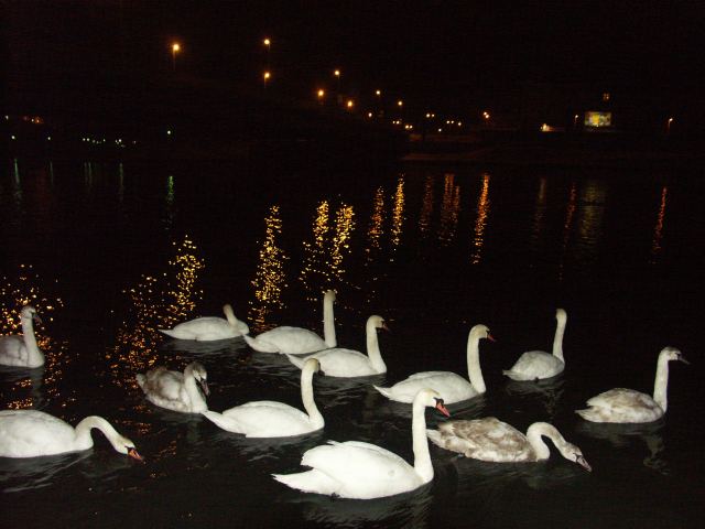 spis.php?category_id=219