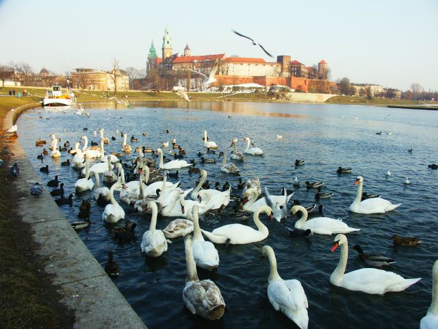 spis.php?category_id=220