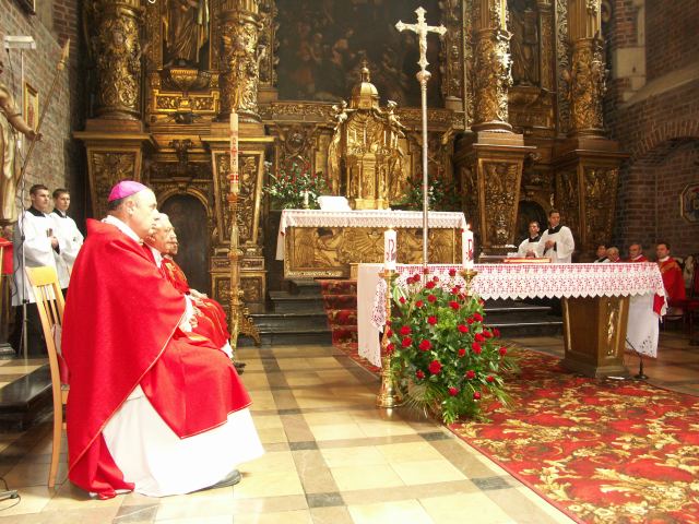 spis.php?category_id=233