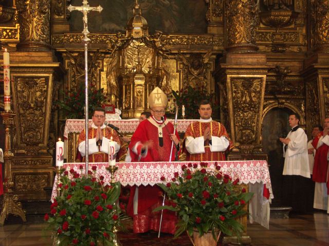 spis.php?category_id=233