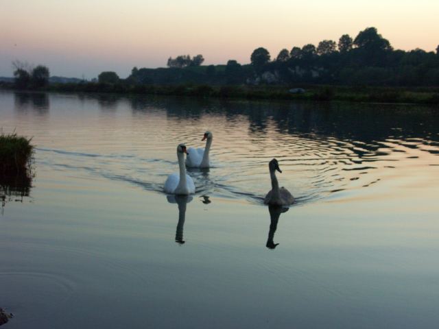 spis.php?category_id=234