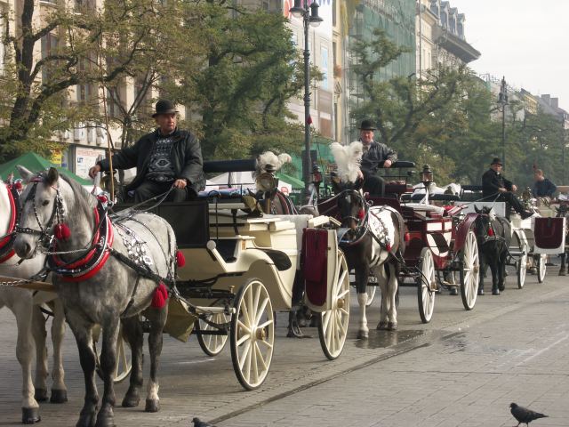 spis.php?category_id=236