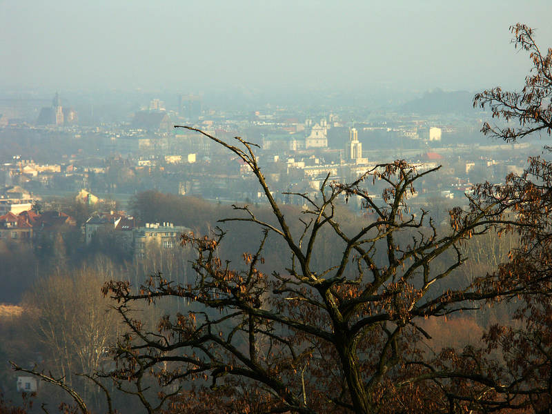 spis.php?category_id=237