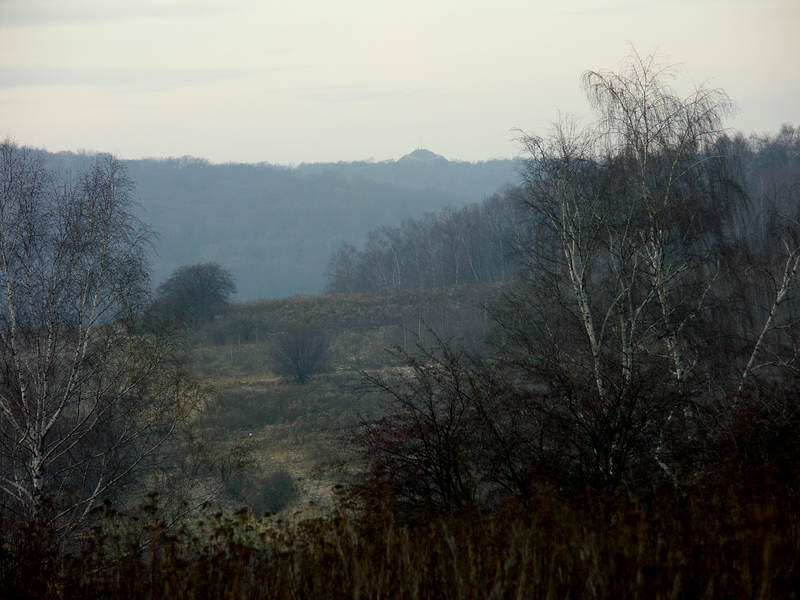 spis.php?category_id=237