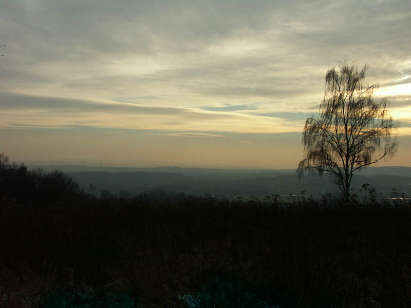 spis.php?category_id=237