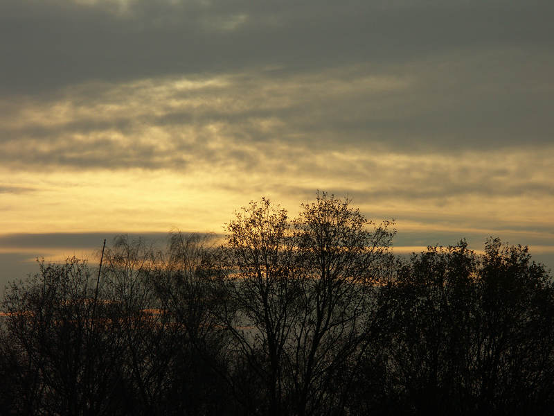 spis.php?category_id=237