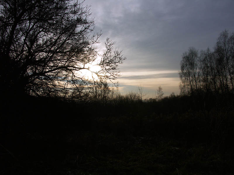 spis.php?category_id=237