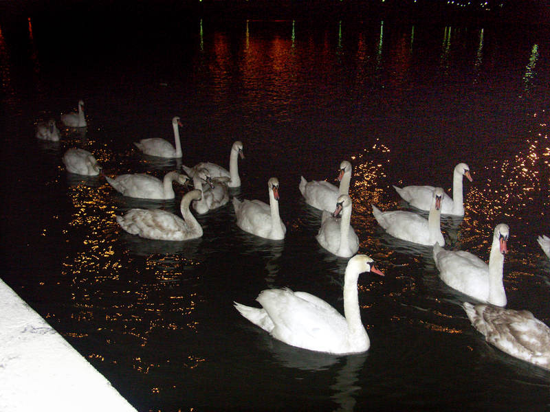 spis.php?category_id=243