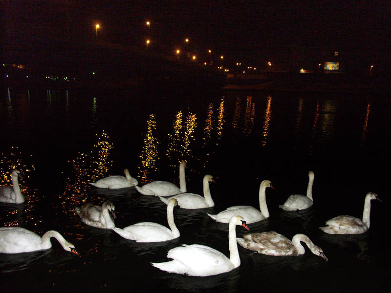 spis.php?category_id=243