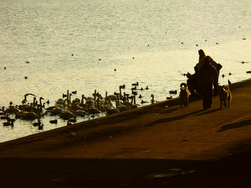 spis.php?category_id=243