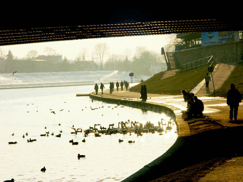 spis.php?category_id=243