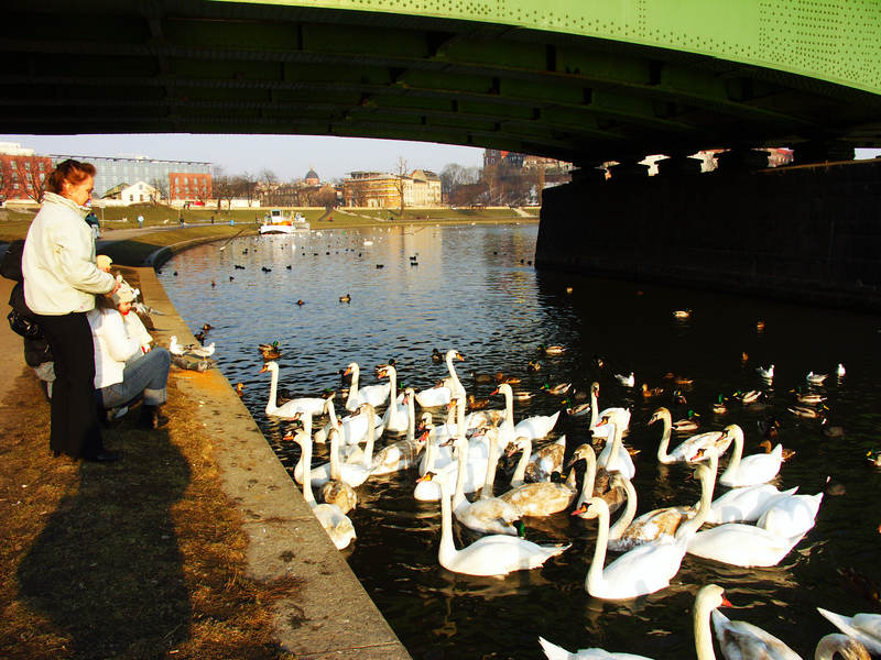 spis.php?category_id=243