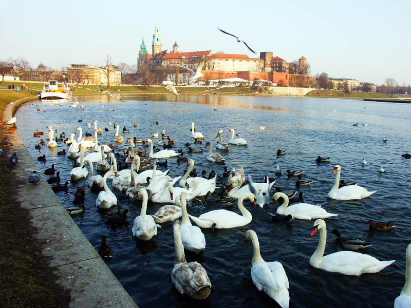 spis.php?category_id=243