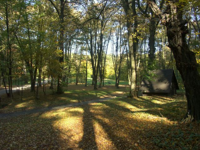 spis.php?category_id=244