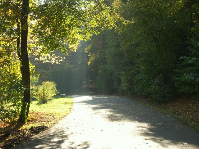 spis.php?category_id=244