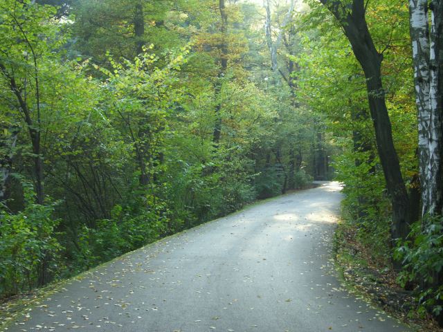 spis.php?category_id=244