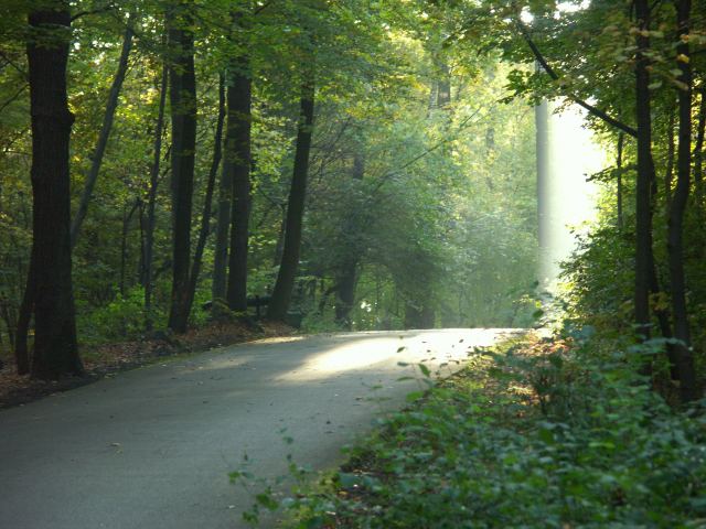 spis.php?category_id=244