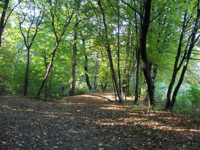 spis.php?category_id=244