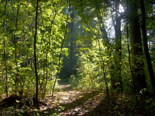 spis.php?category_id=244