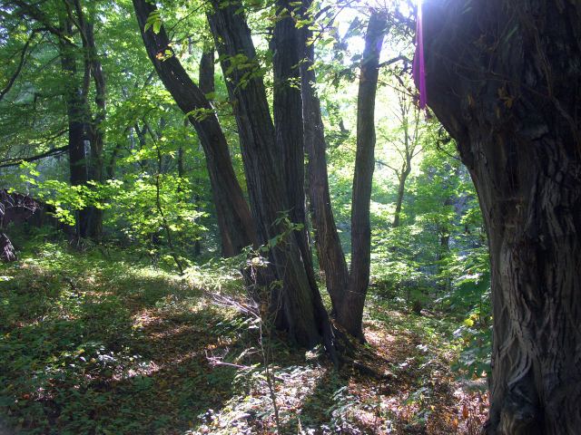 spis.php?category_id=244